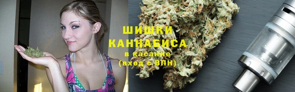 apvp Белокуриха