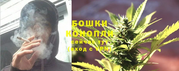 apvp Белокуриха