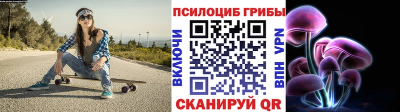 кракен tor Славгород Галлюциногенные грибы ЛСД
